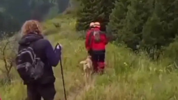 Фотография к новости: Алматы тауларында адасып кеткен Ұлыбритания азаматы табылды