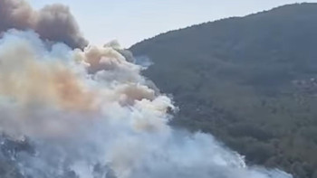 Фотография к новости: Түркияда ірі орман өртін үш ұшақ пен төрт тікұшақ сөндіріп жатыр