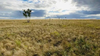 Фотография к новости: СҚО-да 14 мың гектар жер мемлекет меншігіне қайтарылды