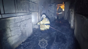 Фотография к новости: Алматы облысында шаруа қожалығында өрт шықты