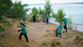 Фотография к новости: Таза Қазақстан. Абай облысында 83 590 адам акцияға қатысты