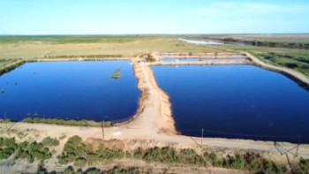 Фотография к новости: Қызылордада қуаттылығы жылына 300 тонна болатын тұқы шаруашылығы іске қосылды