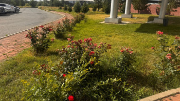 Фотография к новости: Жетісуда күндіз бақша суғаруға тыйым салынды