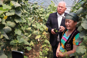 Фотография к новости: Мәжіліс депутаты «Ауыл аманаты» жобасы аясында іске қосылған кәсіпкерлік нысандарда болды