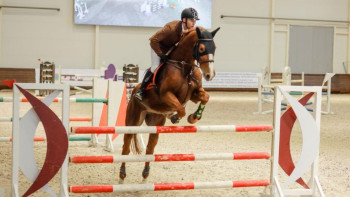 Фотография к новости: Астанада конкурдан ашық қалалық турнир өтеді