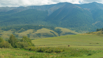 Фотография к новости: Ақтөбеде 22 мыңнан астам жер мемлекетке қайтарылды