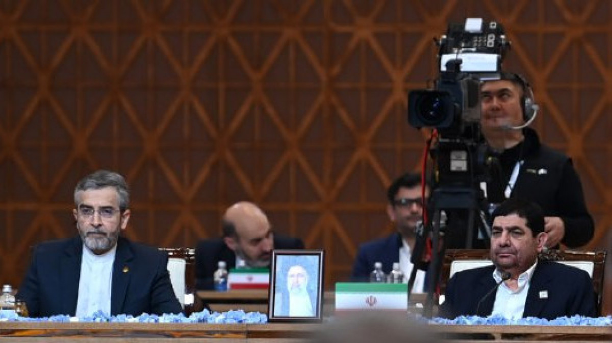 Иран басшысының міндетін атқарушы саммитке бұрынғы президентінің суретімен келді