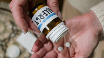 Фотография к новости: Бүгін Дүниежүзілік аллергиямен күрес күні