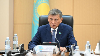 Фотография к новости: Сенатор: Жаңа заң балаларды энергетикалық сусындардың зиянды әсерінен қорғайды