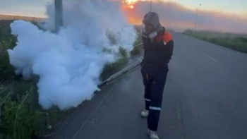 Фотография к новости: Астанада маса-шіркейлерге қарсы өңдеудің үшінші кезеңі жалғасып жатыр