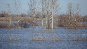 Фотография к новости: Павлодарлық ғалымдар су тасқынымен күрес бойынша 20-ға жуық жоба әзірледі
