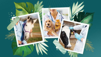 Фотография к новости: Елімізде алғаш рет ветеринария қызметкерлері күні аталып өтілуде