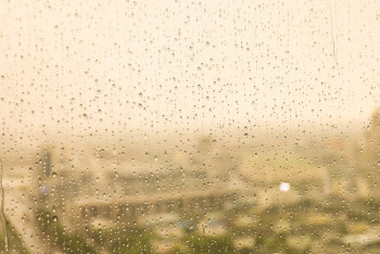 Фотография к новости: Алдағы күндері өткінші жаңбыр жауады