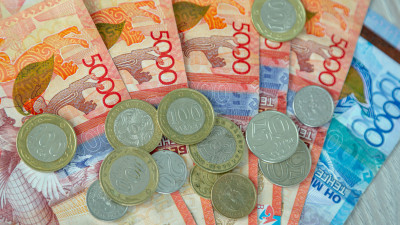 Борышкер мемлекет кірісіне 1 млрд 67 млн теңге аударды