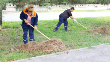 Фотография к новости: "Таза Қазақстан" акциясына 160 мыңнан астам жетісулық қатысты