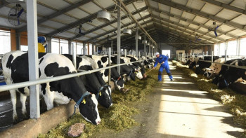 Фотография к новости: АШМ мал шаруашылығы өнімдерін қадағалау жобасын жүзеге асыруда