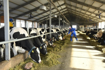 Фотография к новости: АШМ мал шаруашылығы өнімдерін қадағалау жобасын жүзеге асыруда