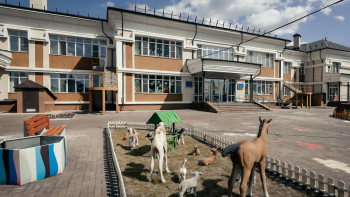Фотография к новости: Павлодарда балабақша тәрбиешісі екі жылға бас бостандығынан айырылуы мүмкін