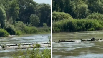 Фотография к новости: Павлодар облысында понтонды көпір суға батып кетті