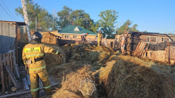 Фотография к новости: Ақмола облысында жеке үй аумағындағы қоймада шөп өртенді