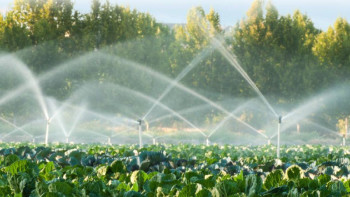 Фотография к новости: Шаруаларды суармалы сумен қамтуға 4,28 млрд текше метр су берілді