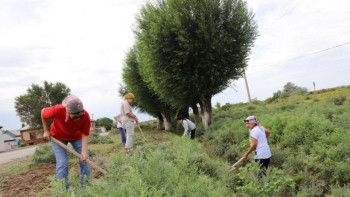 Фотография к новости: "Игі істер марафоны": Жеті күнде 500-ден астам игі іс жасалды