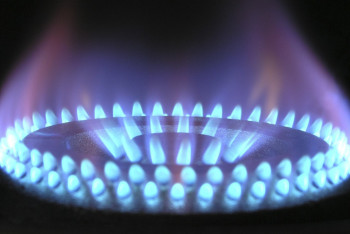 Фотография к новости: Елімізде көгілдір отынның тапшылығы бар – Премьер-министр