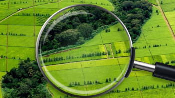 Фотография к новости: Жамбыл облысында 43 мың гектардан аса учаскесі мемлекет меншігіне қайтарылды