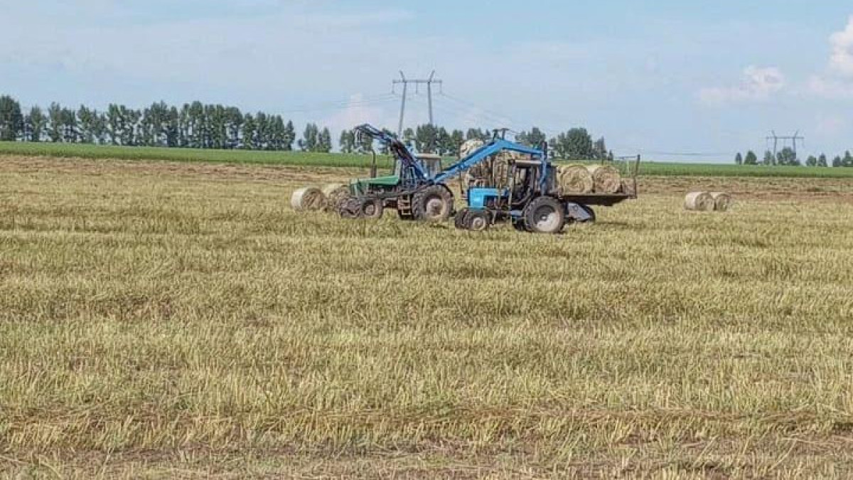  Абай облысының әкімдігі