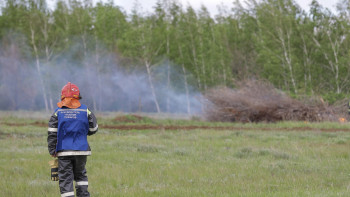 Фотография к новости: Орман өрті азайды