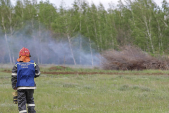 Орман өрті азайды