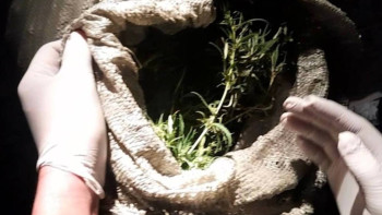 Фотография к новости: Полиция 24 келіден астам есірткі тасымалдаған тұрғынды ұстады