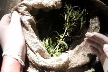 Фотография к новости: Полиция 24 келіден астам есірткі тасымалдаған тұрғынды ұстады