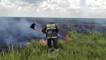 Фотография к новости: Астанада Талдыкөл аумағында  өрт болып жатыр