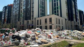 Фотография к новости: Фоторепортаж: Алматыдағы қоқыс үйіндісі