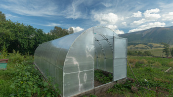 Фотография к новости: Ауыл шаруашылығы. Ішкі өнім қанша пайызға өсті?