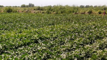 Фотография к новости: Еліміздің шаруаларына 4,8 млрд текше метр су берілді