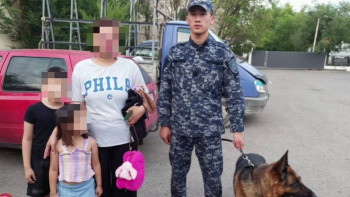 Фотография к новости: Астанада қызметтік ит жоғалған балаларды іздеп тапты