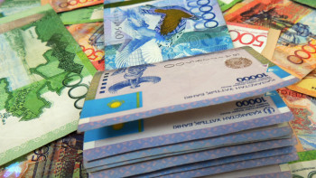 Фотография к новости: Жетісуда cалықтан қашқандар саны 23 мыңнан асады