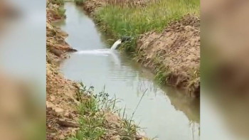 Фотография к новости: Абаттандыру ережелерін бұзған мердігерге айыппұл салынды