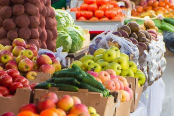 Фотография к новости: Түрік компаниясы Қазақстанда 5000 тоннаға көкөніс қоймасын салуды жоспарлап отыр