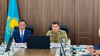 Фотография к новости: Биыл дала өрті екі есе, орман өрті үш есеге азайды – министр