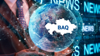 Фотография к новости: Қызылордада жапырақ кеміргіш қоңыздар көбейген