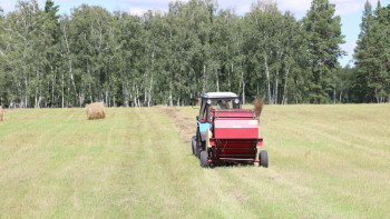 Фотография к новости: "Бурабай" ұлттық паркінде қыс маусымына даярлық қызу жүріп жатыр