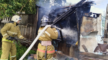 Фотография к новости: Ақмола облысының құтқарушылары өртті сөндірді