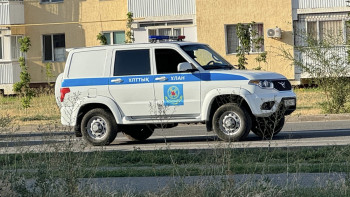 Фотография к новости: Жетісуда 226 алаяқтық фактісі анықталды