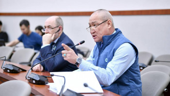 Фотография к новости: Депутат Жаңбыршин: Белден төмен нәрсені адам құқығына тіркемеу керек