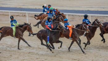 Фотография к новости: Павлодарда Дүниежүзілік көшпенділер ойындарының бәйге жарысына іріктеу басталады