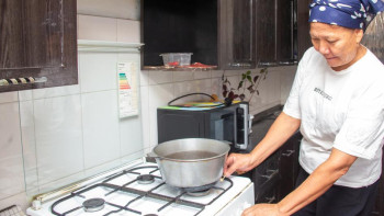 Фотография к новости: Жетісу облысында төрт ауыл газға қосылды