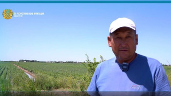 Фотография к новости: Биыл Түркістан облысында 10 тік дренажды ұңғыма қалпына келтіріледі